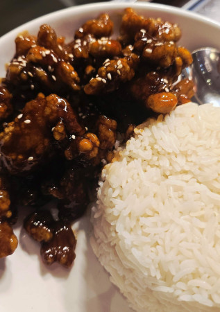 Teriyaki chicken on rice
